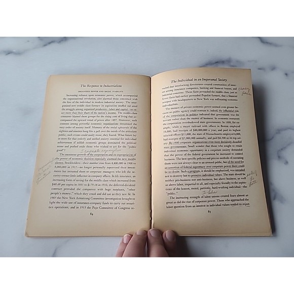 The Response To Industrialism 1885-1914 - Samuel P Hays 1960 Vintage Paperback - Picture 8 of 10